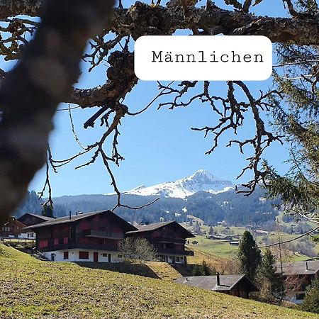 Apartment Lilalama Grindelwald Bagian luar foto