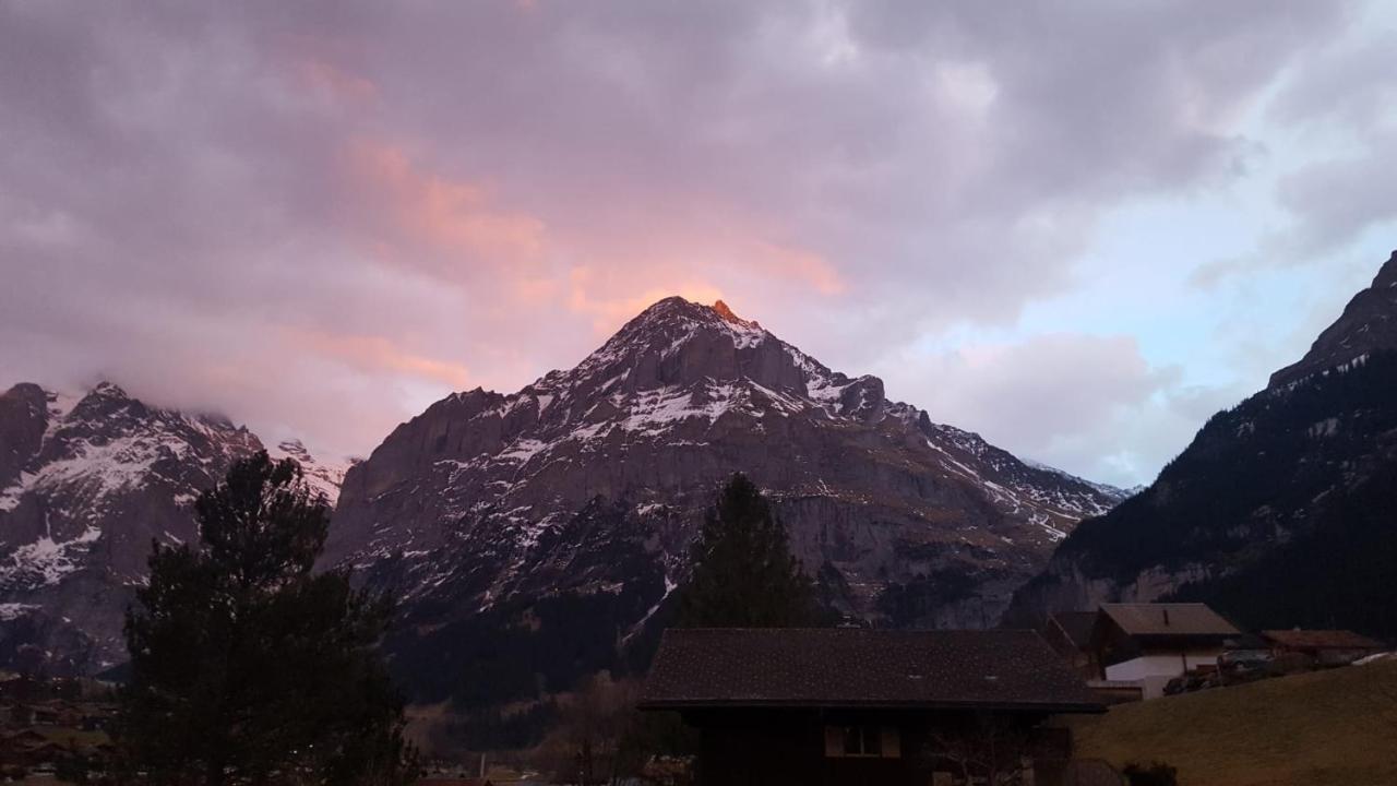 Apartment Lilalama Grindelwald Bagian luar foto