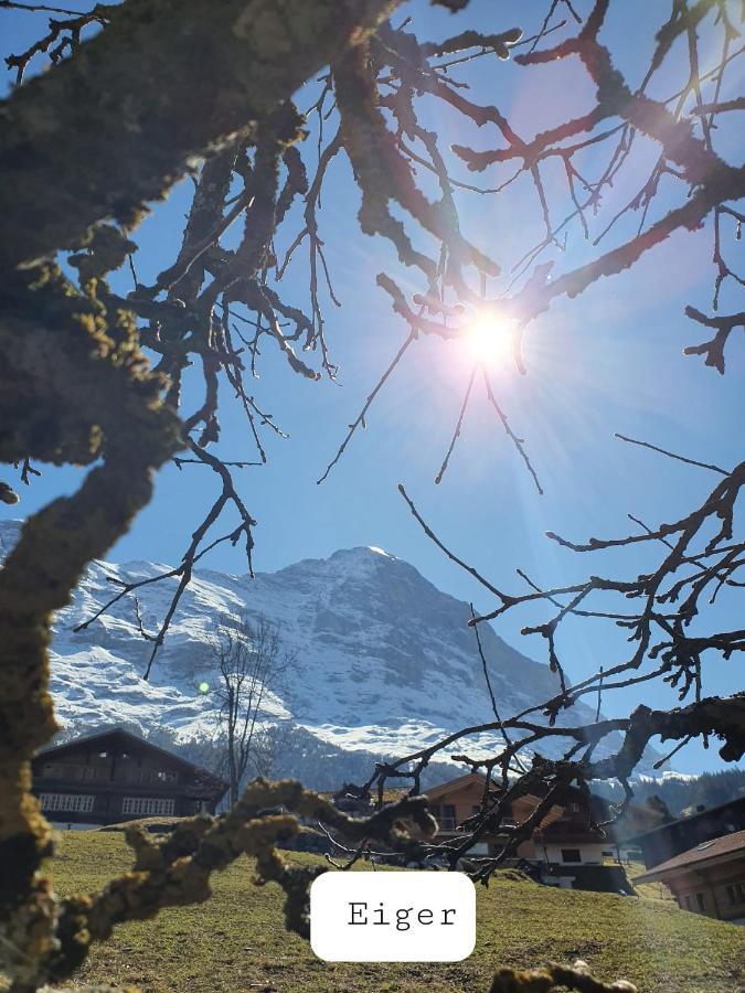 Apartment Lilalama Grindelwald Bagian luar foto