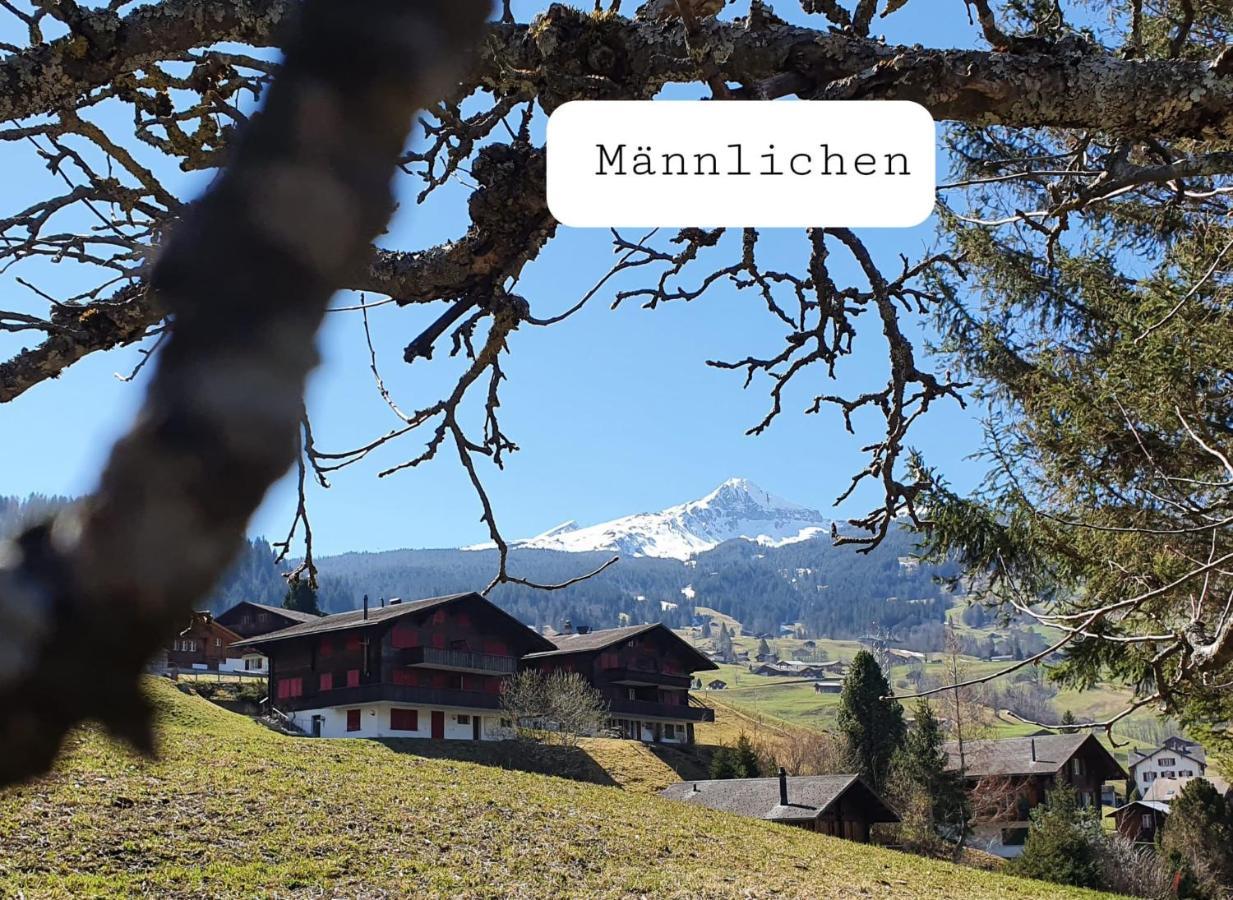 Apartment Lilalama Grindelwald Bagian luar foto