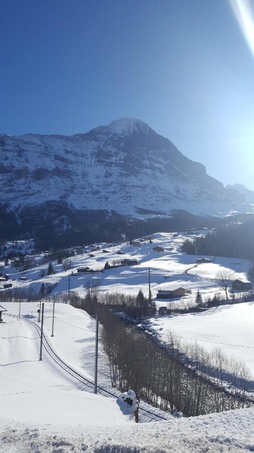 Apartment Lilalama Grindelwald Bagian luar foto