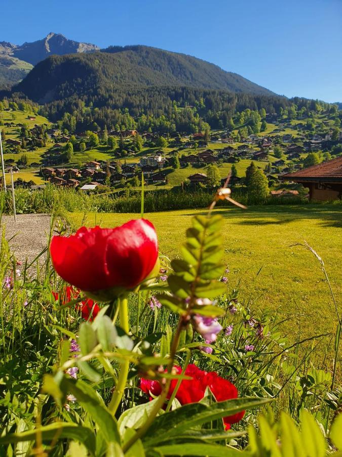 Apartment Lilalama Grindelwald Bagian luar foto